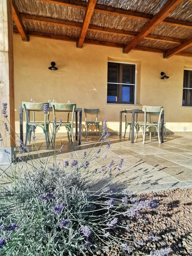 Agriturismo Casa Ricci Magliano in Toscana Extérieur photo