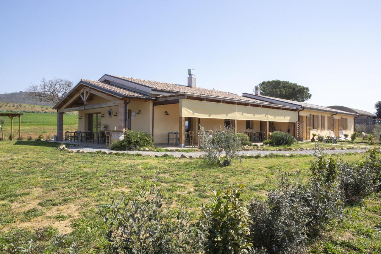 Agriturismo Casa Ricci Magliano in Toscana Extérieur photo