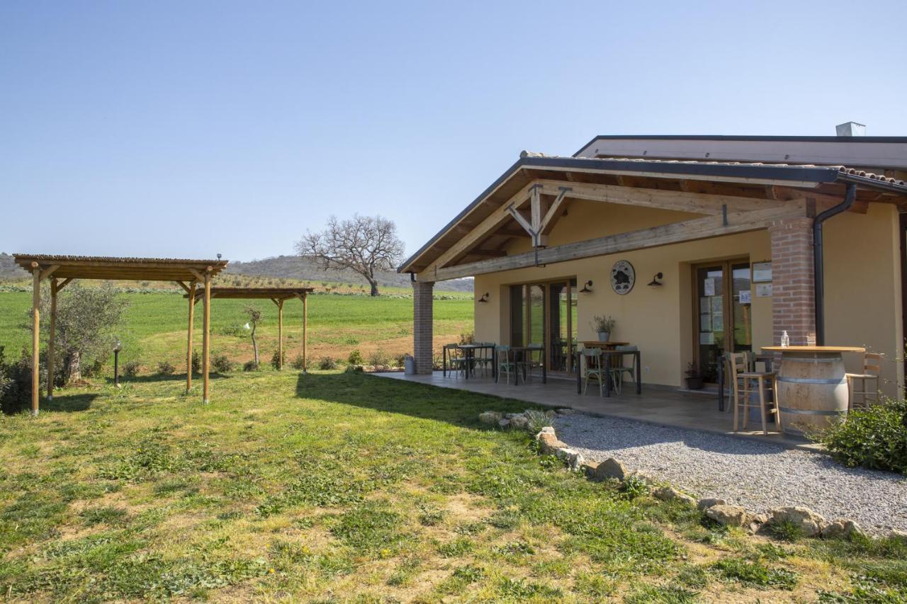 Agriturismo Casa Ricci Magliano in Toscana Extérieur photo