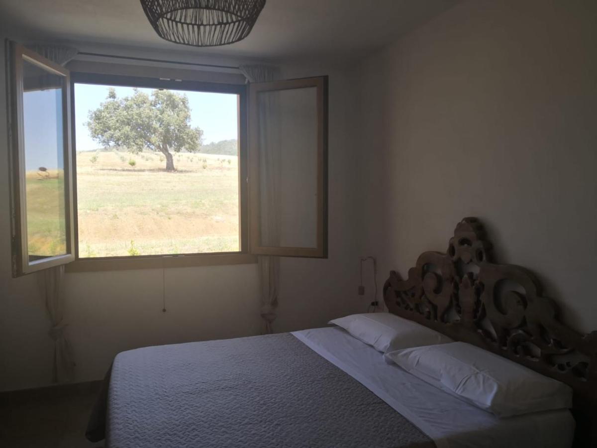 Agriturismo Casa Ricci Magliano in Toscana Extérieur photo