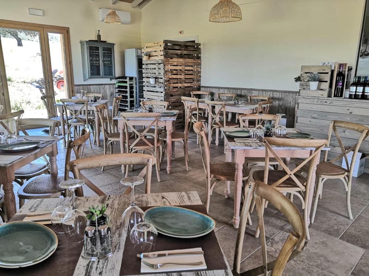 Agriturismo Casa Ricci Magliano in Toscana Extérieur photo